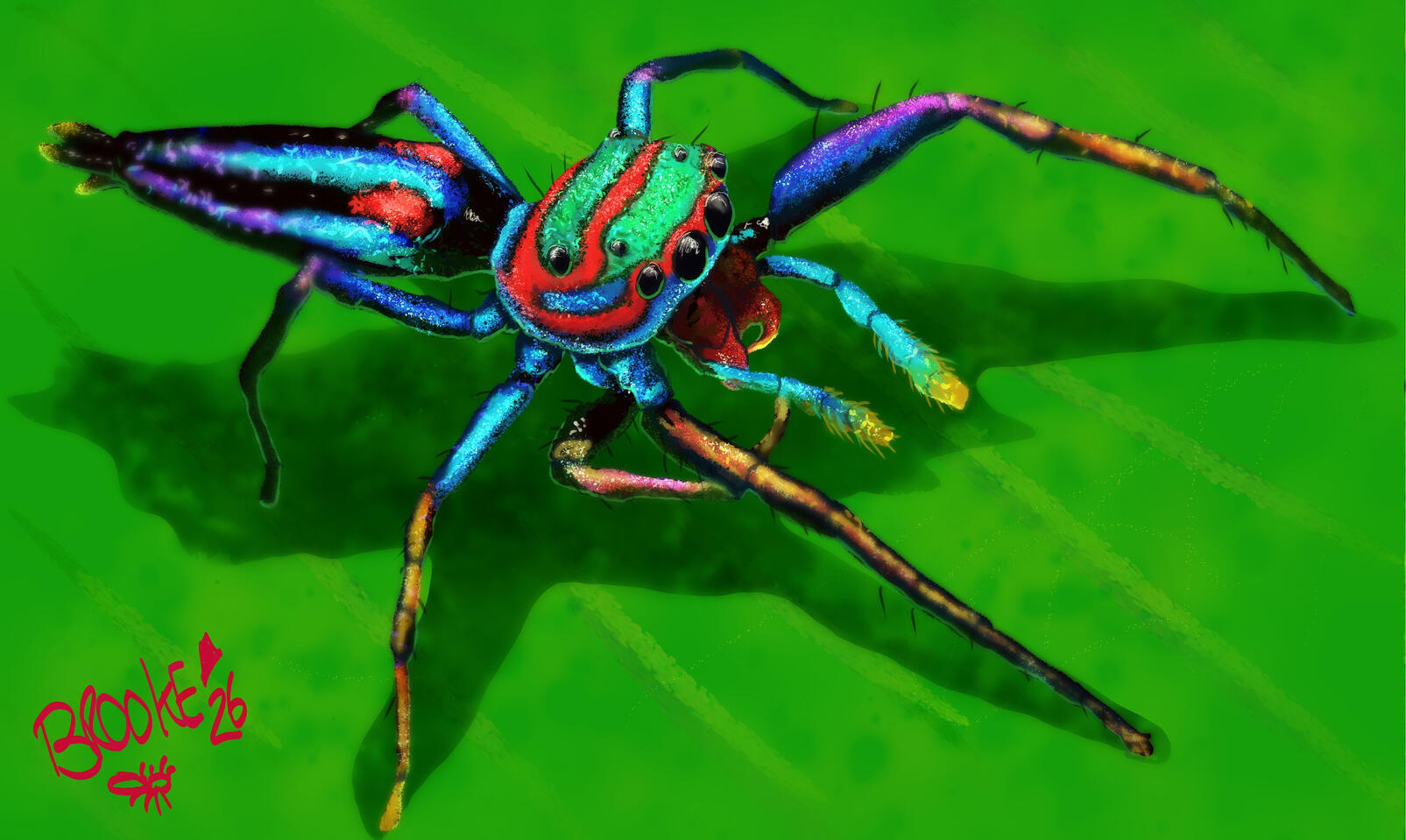 Digital painting of a brightly coloured spider sitting on a green leaf. The spider is black with blue, green, and red stripes.